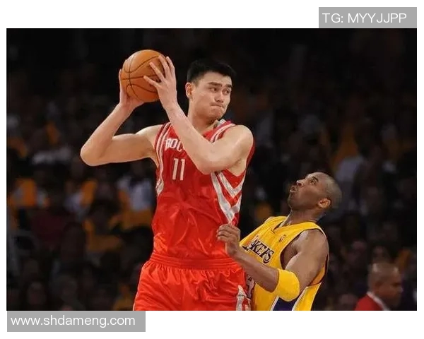 阿佛姚明:从篮球巨星到文化桥梁的传奇人生与影响力探索