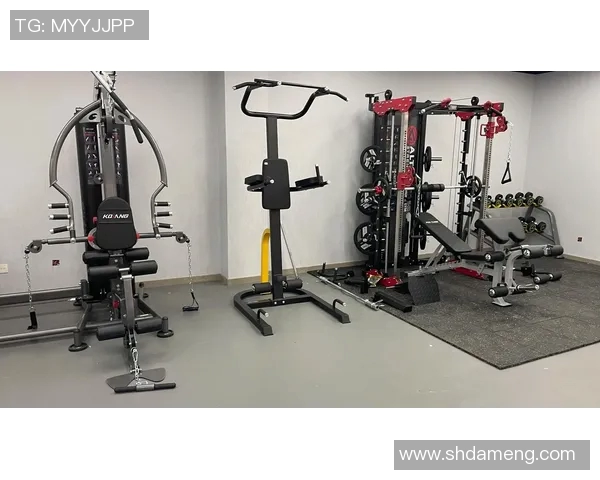小型体育健身器材助力家庭健身新风尚打造健康生活新体验