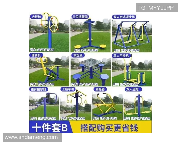 全面解析健身器材名称及其图片展示助你选择最适合的健身工具